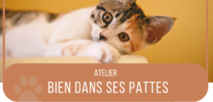 Atelier Bien dans ses Pattes à Nice
