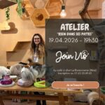 19 avril à Nice : atelier pour bien vivre avec son chat