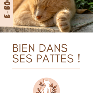 E-Book - Bien dans ses pattes